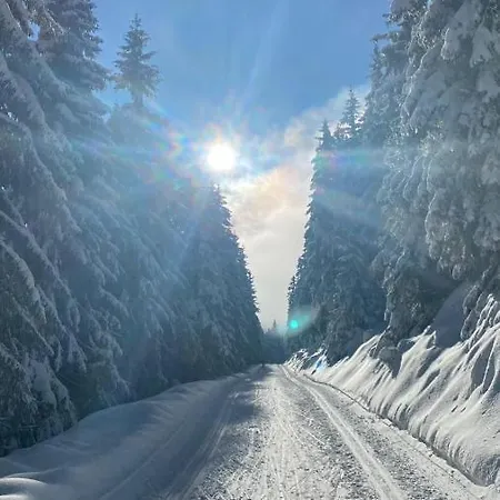 Viktorka