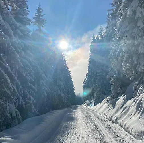 Viktorka