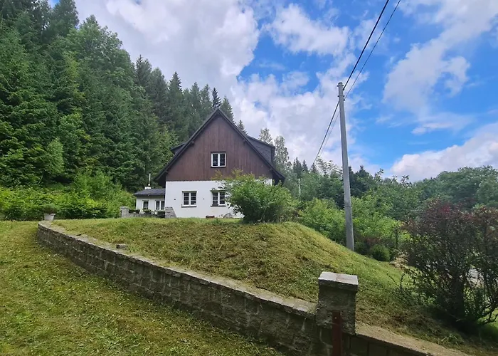 Viktorka Apartament *